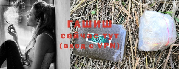 шишки Новодвинск