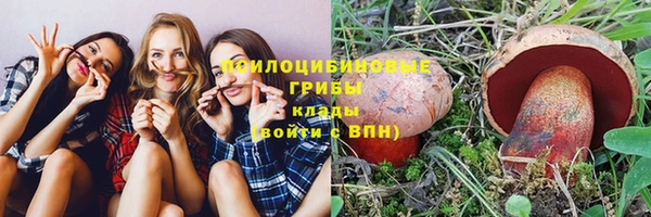 герыч Новозыбков
